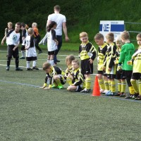 TSV Jugendturnier 2017